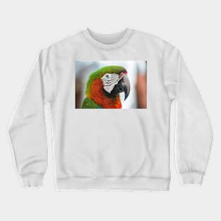 Preserve 2 Crewneck Sweatshirt